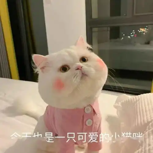 后悔了母胎solo的姐妹改造后男神立马跟她表白了
