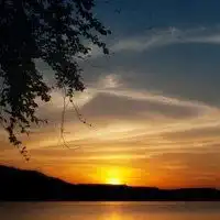 手捧薰衣草图片唯美微信头像图片大全
