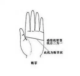 男人断手纹手相怎么样
