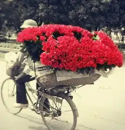 谁有这张清新的图
