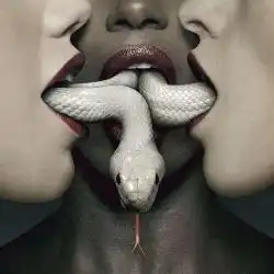 美国恐怖故事第三季美剧
