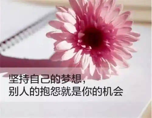 早安心语正能量励志激励人心精选
