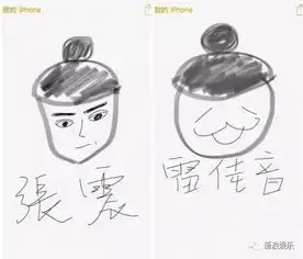 技术贴分析刘烨靳东雷佳音到底谁是大头界扛把子
