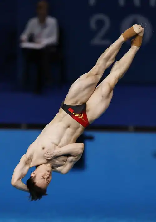 谢思埸王宗源包揽跳水男子三米板冠亚军
