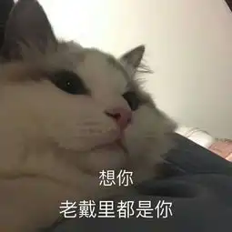你有哪些有趣的撩或被撩的经历
