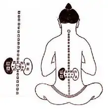 男人肾虚九大明显症状
