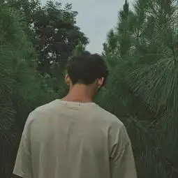 这个情侣头像另一半谁有我找不到了
