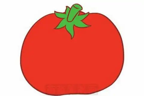 西红柿简笔画图片大全画法
