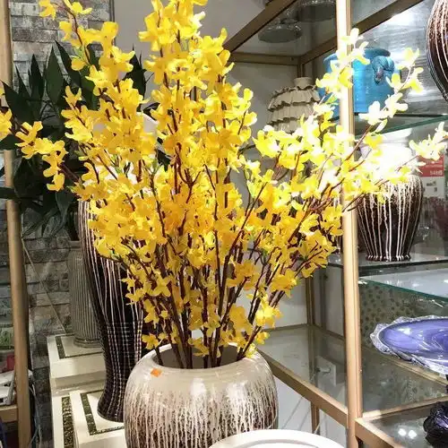 新春推荐5种吉祥花,家里养一盆,喜庆又吉利
