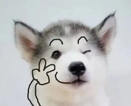 言之有物之大物实验二
