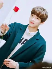 除了明星你们觉得自己的爱豆还能做什么
