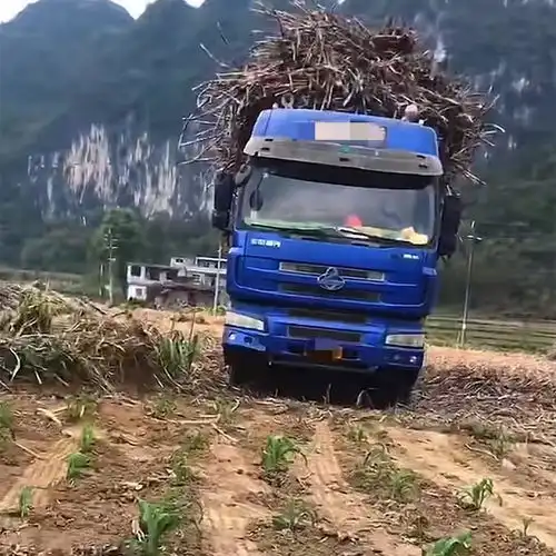 广西男子把车开玉米地,农民让他压1棵赔1元,他调侃种玉米真赚钱
