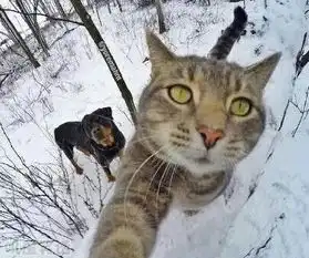 每日囧图1月16日你们小时候经常做头像的小妹妹长大了
