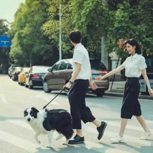 甜到爆的小故事持续更新中
