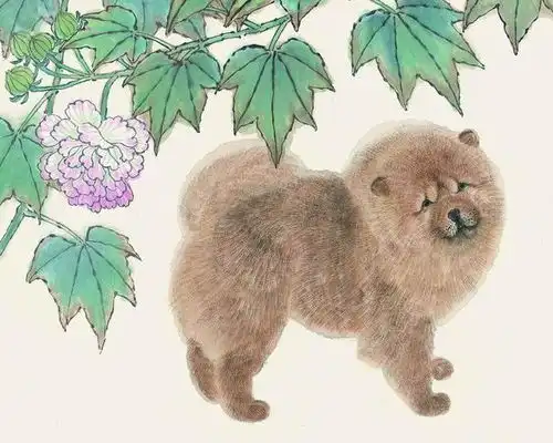 搜狐网

