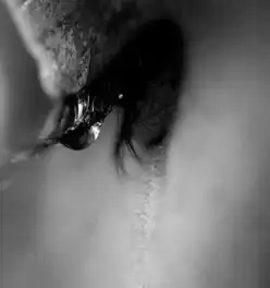 20年的今天,我们找到久违的新婚感觉
