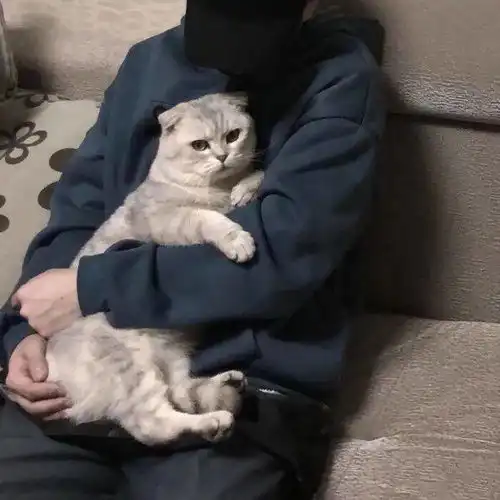 换个新头像,换个好心情头像
