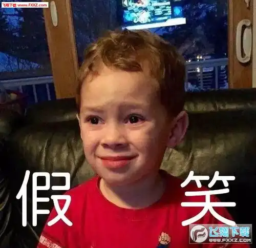 职业假笑小男孩表情包下载职业假笑小男孩图片下载飞翔下载
