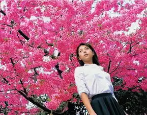 办公室旺桃花风水
