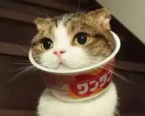 选择一款适合自己的面膜太重要了
