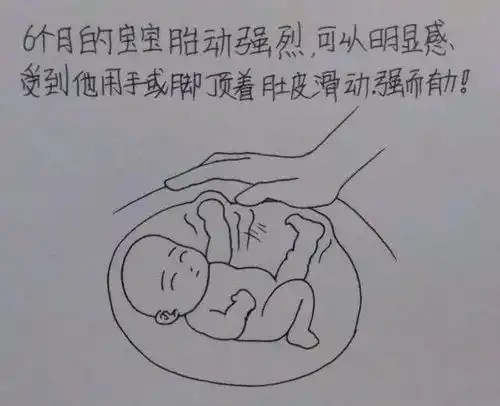 我这个老婆,怎么爱她都不够...
