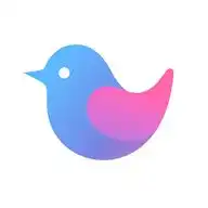 手机板书app下载板书白板写字辅助工具下载v1.0.0it168下载站
