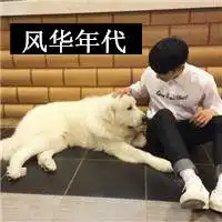 霸道是我依赖你的理由头像微信头像图片大全