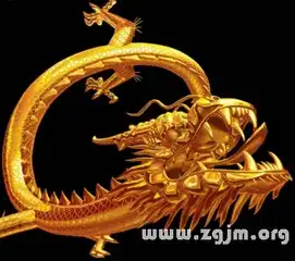 梦见一条龙
