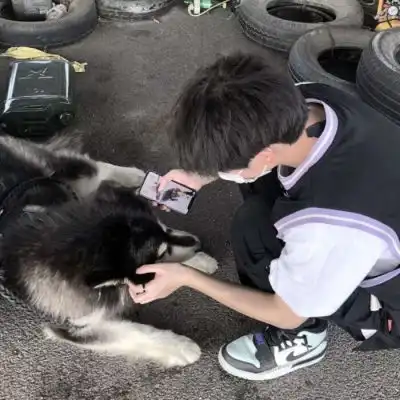 二兽时尚小众风格高冷成熟男头
