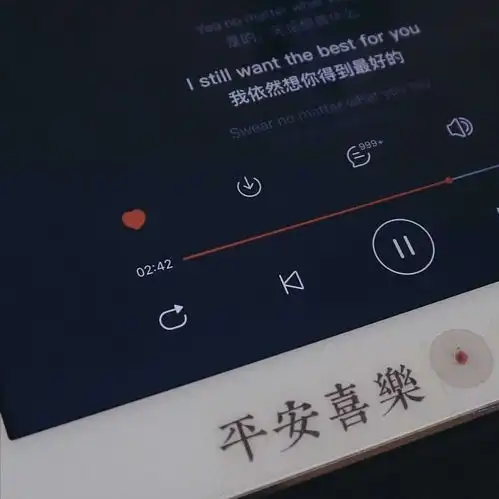 没宠爱之言以宠爱之名
