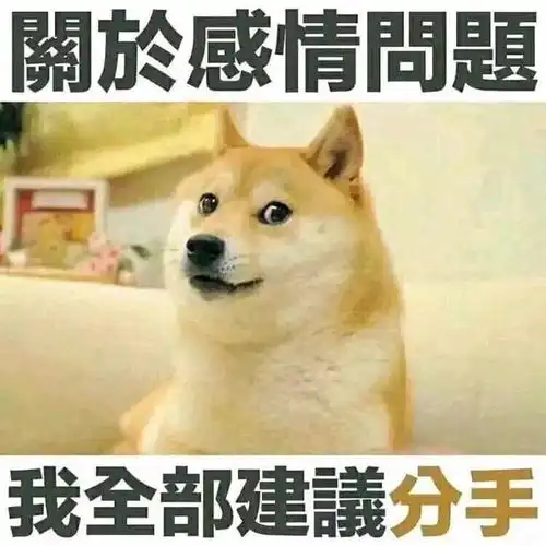 在直男论坛的恋爱区,我窥见当代玩家最辛酸的时刻
