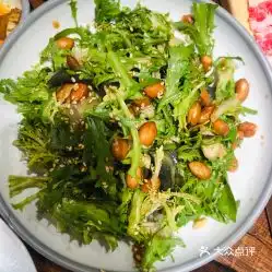 鞍排炭火烤肉的苦菊花生米好不好吃用户评价口味怎么样大连美食苦菊花生米实拍图片大众点评
