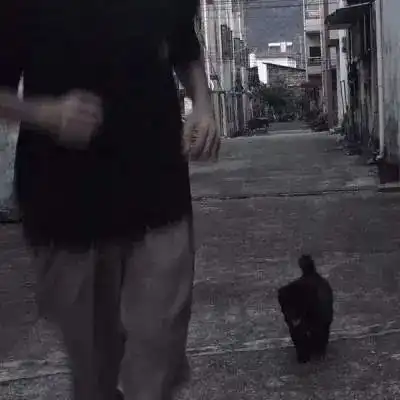 伤感男头终究还是错付了青春
