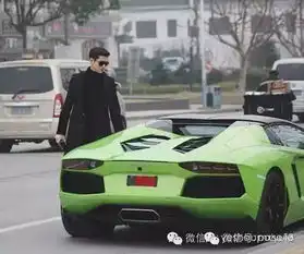 张翰,你那一辆拉风的兰博基尼都好几个月没上正式牌照了吧
