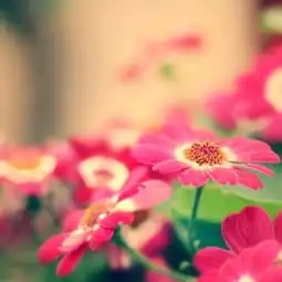 这几个星座男对婚姻家庭专一,旺财运永伴随
