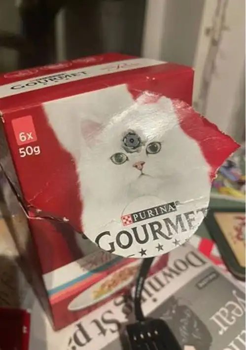 国外男子竟然在猫粮包装盒里发现针孔摄像头,商家也是一头雾水