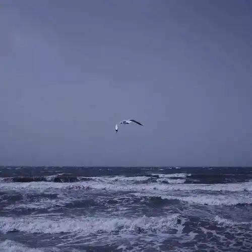 风景头像男士集图惊险