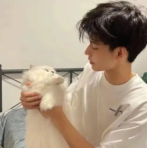 头像万杯不及你温柔
