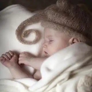 在线收听冷暖荔枝
