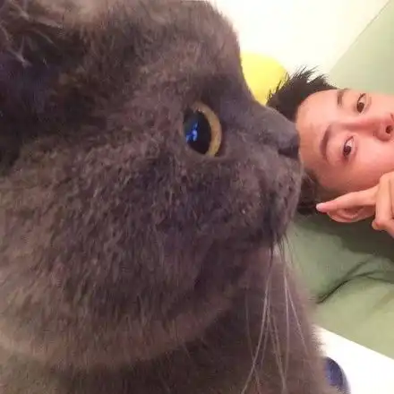 可以上传的真实男头像弃猫效应