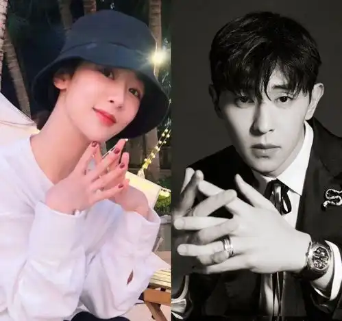 双胞胎姐妹花,胖厨子,杨紫,肖战赵露思,赵今麦,言承旭八卦男星团队投资方
