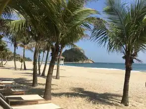 暑假带娃哪里玩离莞车程3h,7家c位出道的高颜值无边泳池的网红亲子酒店安利给你
