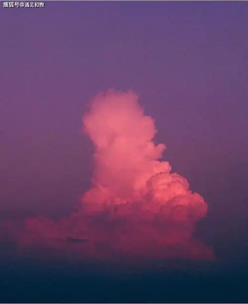 女人不爱你了的证明懂事
