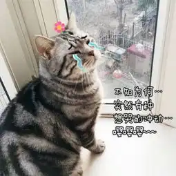 用户中心霸的个人信息知音漫客网
