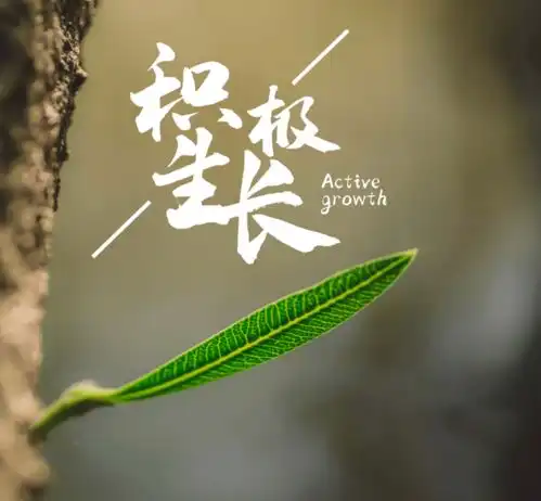 6月9日早安心语正能量

