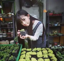 没准就是马里奥偷吃了你的奥利奥
