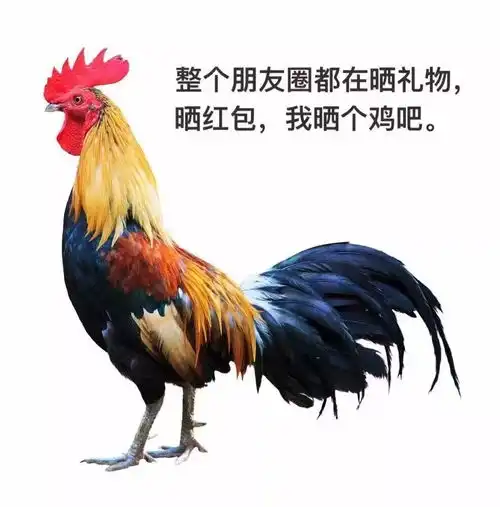 为什么有些艺人值得粉丝二次消费但有些艺人不值得
