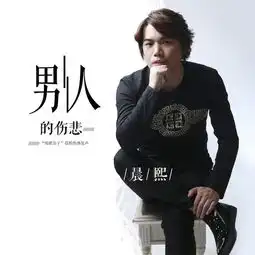 男人的伤悲晨熙单曲网易云音乐
