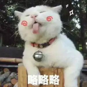 猫咪世界里有渣男和绿茶吗
