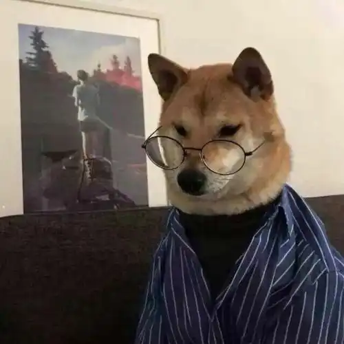 头像听说渣男都爱用柴犬当头像
